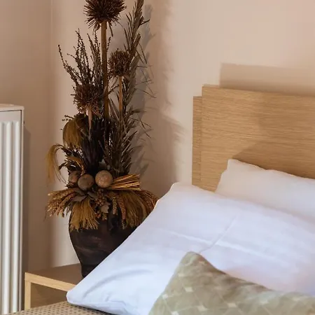 Luxury Rustic Mountain View